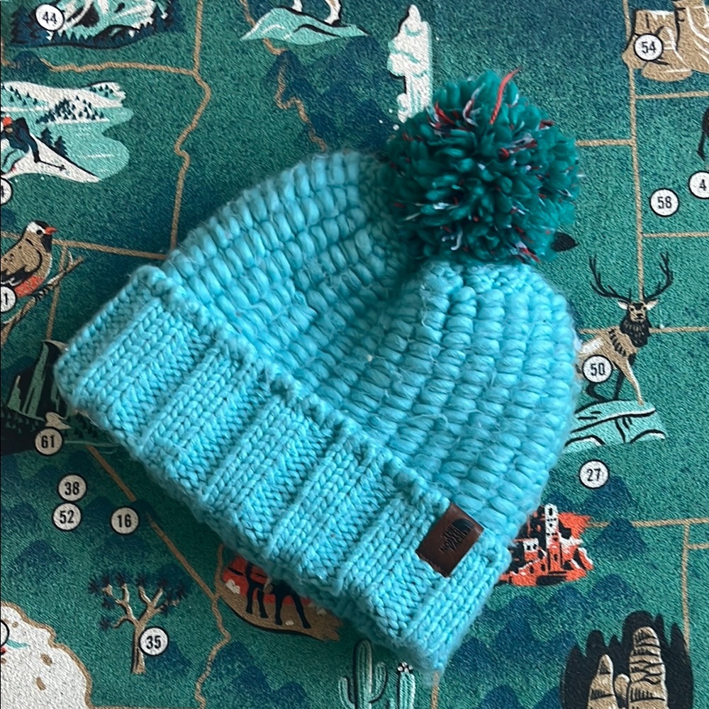 🌻 HOST PICK 🌻 The North Face Cozy Chunky Hat - Picture 2 of 5